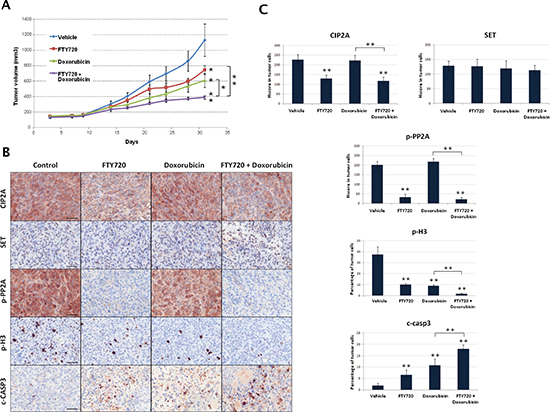 In vivo analysis of antitumor effects of FTY720 alone or combined with doxorubicin.