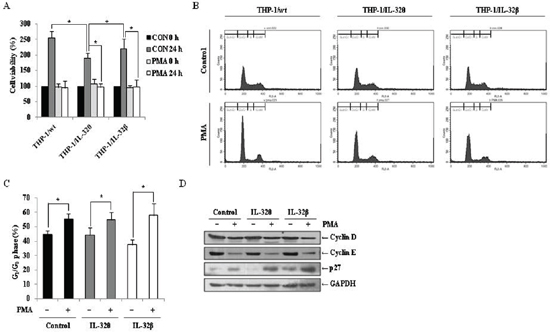 Effects of IL-32&#x03B8; and IL-32&#x03B2; on PMA-mediated cell cycle arrest in THP-1 cells.