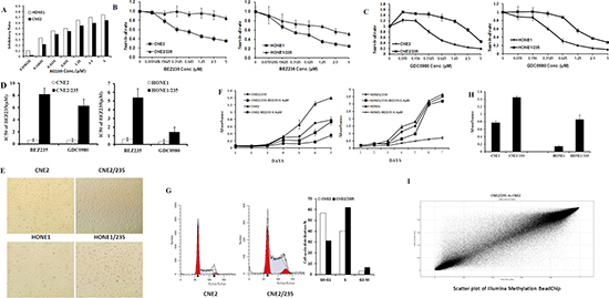 DNA hypermethylation in acquired dual PI3K/mTOR inhibitors resistant cells.