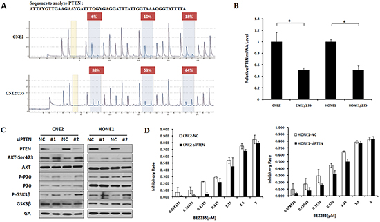PTEN hypermethylation Activates the PI3K/mTOR Signaling pathway to induce BEZ235 resistance.