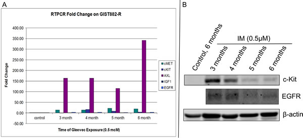 Quantitative RT-PCR of GIST 882-R Cells.