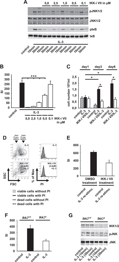 The IL-3-induced IKK2 activation mediates mitogenic signaling.