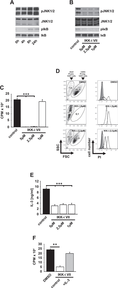 Survival of V2D1 cells depends on the IKK-mediated IL-3 production.