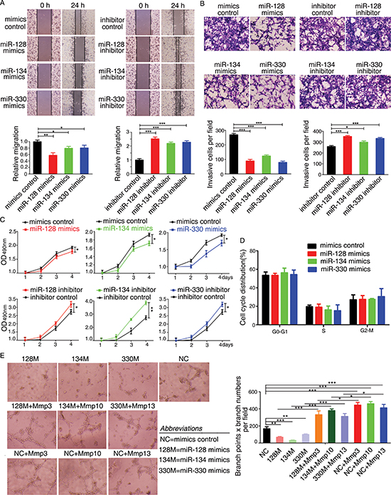 miR-128, miR-134, and miR-330 suppress the tumorigenicity of murine colon cancer cells and inhibit tube formation of endothelial cells in vitro.