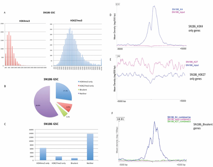 Properties of the H3K4 and H3K27 trimethylation patterns illustrated by the SN186 GSC line.