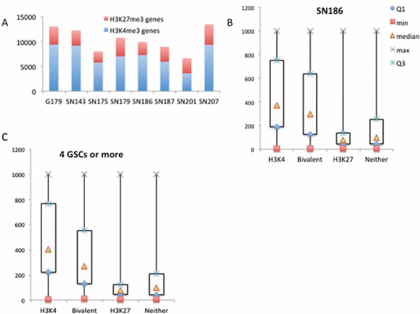 Correlation of H3K4 and H3K27 trimethylation with gene activity.