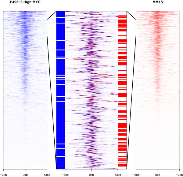 MYC stimulates the transcription of distinct sets of lncRNAs in different cell lines.