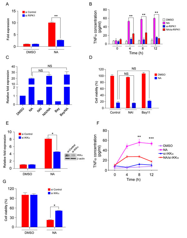 The RIPK/NF-&#x3ba;B pathway mediates NA-induced TNF&#x3b1; production and cell death.cA.