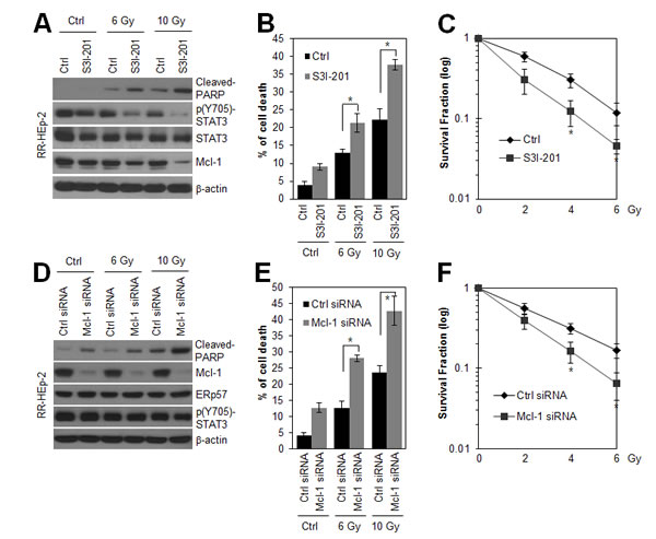 Inhibition of STAT3 activity and depletion of Mcl-1 sensitize radioresistant laryngeal HEp-2 cells.