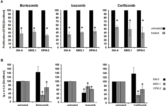 Treatment-induced alterations of further hallmarks of MM biology do not parallel changes in tracer-uptake.