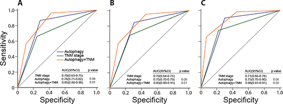 Comparisons of the sensitivity and specificity for the prediction of overall survival by the combined autophagic-protein signature and TNM stage model, the TNM stage alone model, and the autophagic-protein signature alone.