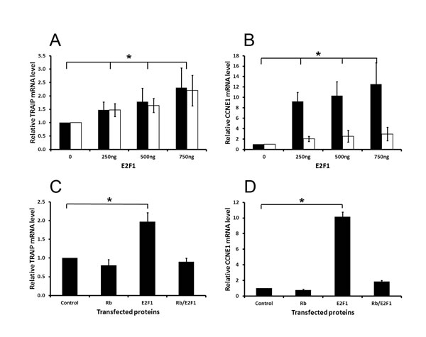 Fig.1: TRAIP mRNA expression is induced by E2F1 but repressed by Rb.