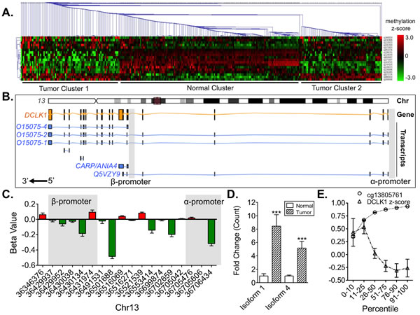 DCLK1 methylation is dysregulated and correlated to DCLK1 mRNA expression in the TCGA&#x2019;s RCC human methylation 450K dataset.