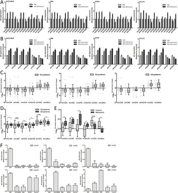 Metformin altered miRNAs expression.