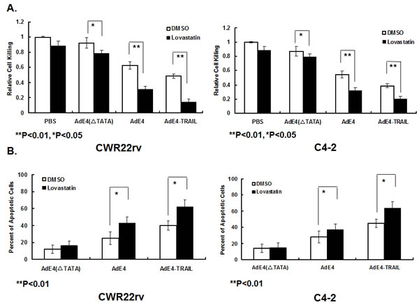 Lovastatin significantly enhanced induction of cell killing and apoptosis by AdE4 and AdE4-TRAIL.