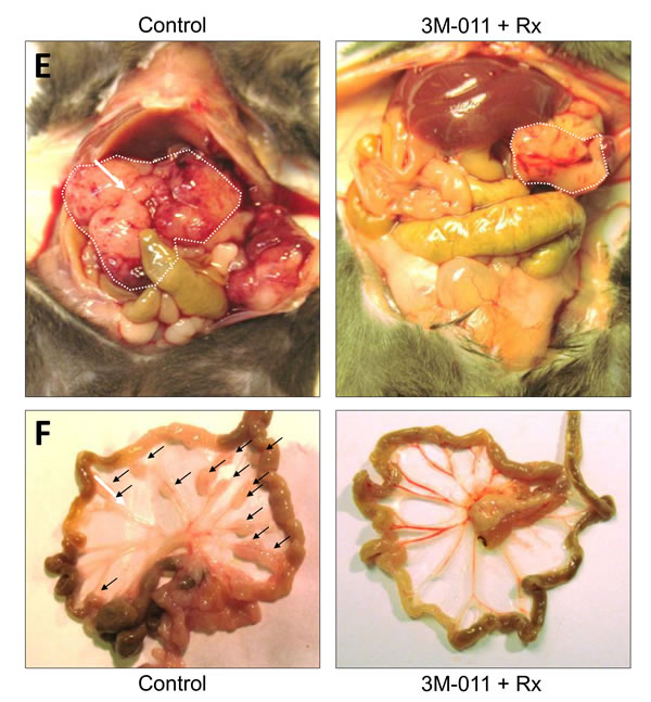 fig2b