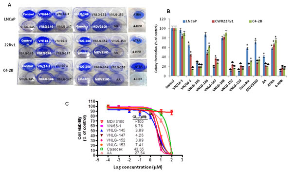 Effect of NRs on PCa cell growth and colony formation.