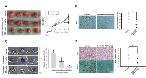 Significant antimetastatic and antiproliferative effects of resveratrol in an HOS orthotopic graft model.