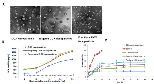 Fig.2: DOX nanoparticles and characterization.