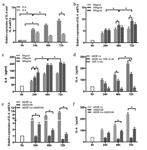 The effects of SDF-1&#x3b1; on GEM chemoresistance in Panc-1 cells were mediated by IL-6.