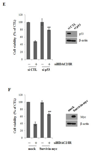 fig6d