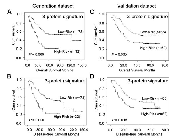 Kaplan-Meier analyses of overall survival and disease-free survival for the three-protein signature model in the generation dataset of 110 cases (A and B) and in the validation dataset of 147 cases (C and D).