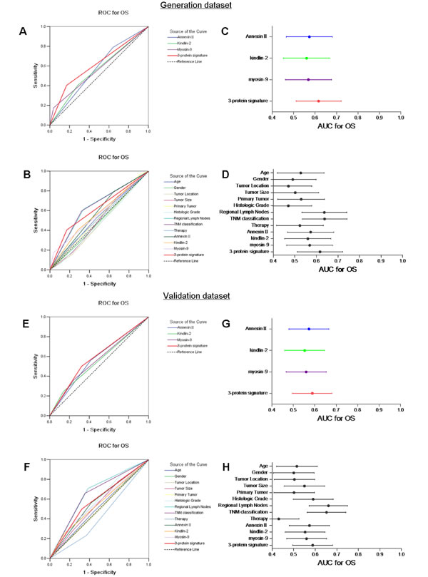 Predictive ability of the 3-protein signature model compared with single biomarkers and other clinical prognostic indices according to receiver operating characteristic (ROC) curves and areas under the curve (AUCs) with 95% CI in the generation dataset (A, B and C, D) and the validation dataset (E, F and G, H).