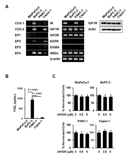 Expression patterns and responses to EP2/EP4 antagonists AH6809/GW627368X in pancreatic cancer cell lines.