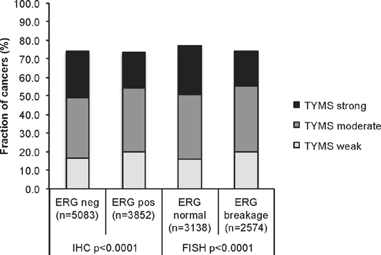 Association between TYMS expression levels and ERG-fusion state.