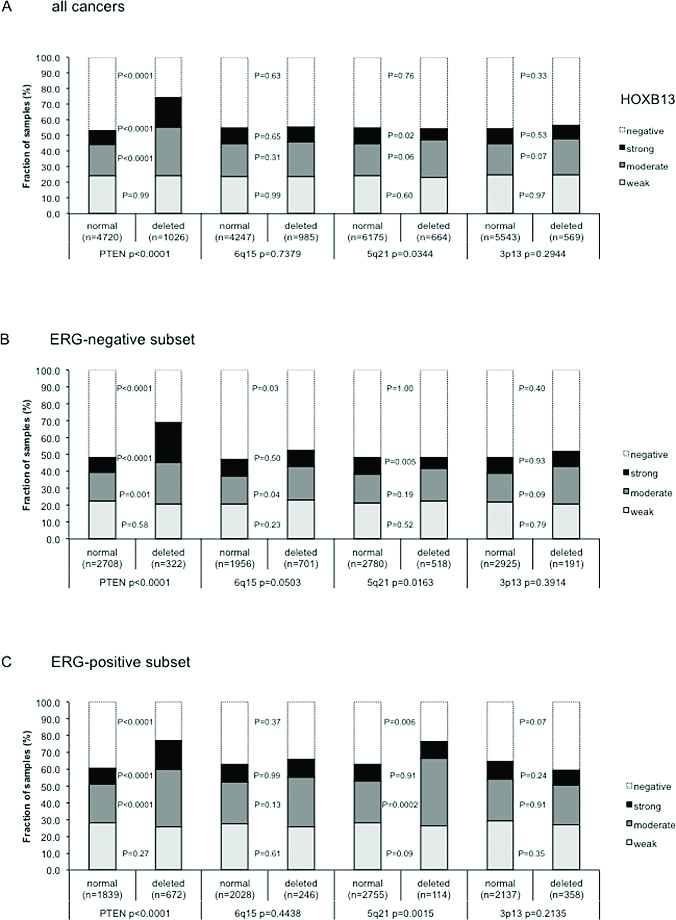 Association between TYMS immunostaining and 3p13, PTEN, 5q21, and 6q15 deletion in (a) all prostate cancers, (b) ERG negative cancers, and (c) in ERG positive cancers.