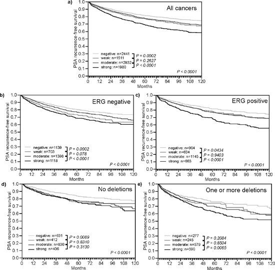 Impact of different levels of TYMS expression on PSA recurrence free survival in molecularly defined subsets of prostate cancer.