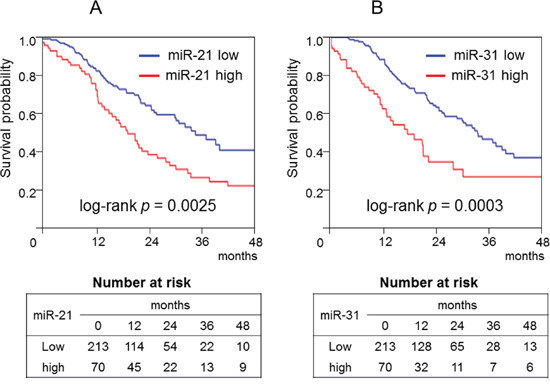 Kaplan&#x2013;Meier curves of cancer-specific survival of patients with pancreatic cancer according to the amount of microRNA-21 (A) or microRNA-31 (B).