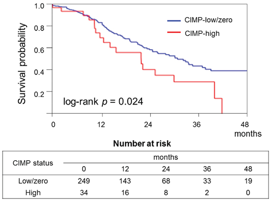 Kaplan&#x2013;Meier curves of cancer-specific survival of patients with pancreatic cancer according to CpG island methylator phenotype (CIMP) status.