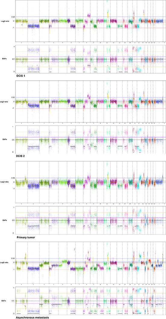 Genome wide displays of copy number mutation data.