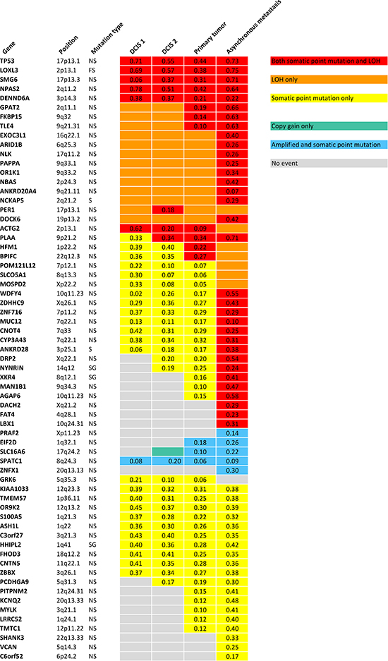 Validated point mutations specified with B Allele Frequencies combined with copy number events within each step of malignant progression.