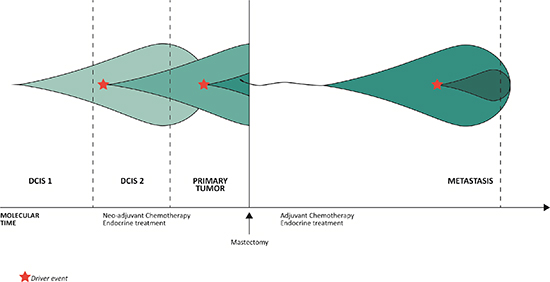 The evolution of clonal populations within the different steps of malignant progression of the studied cancer genome.