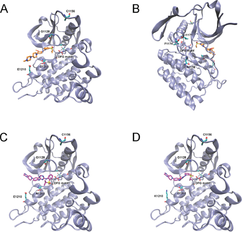 Low energy docking model of ASP3026 within the active site of ALK (PDB code: 4MKC).