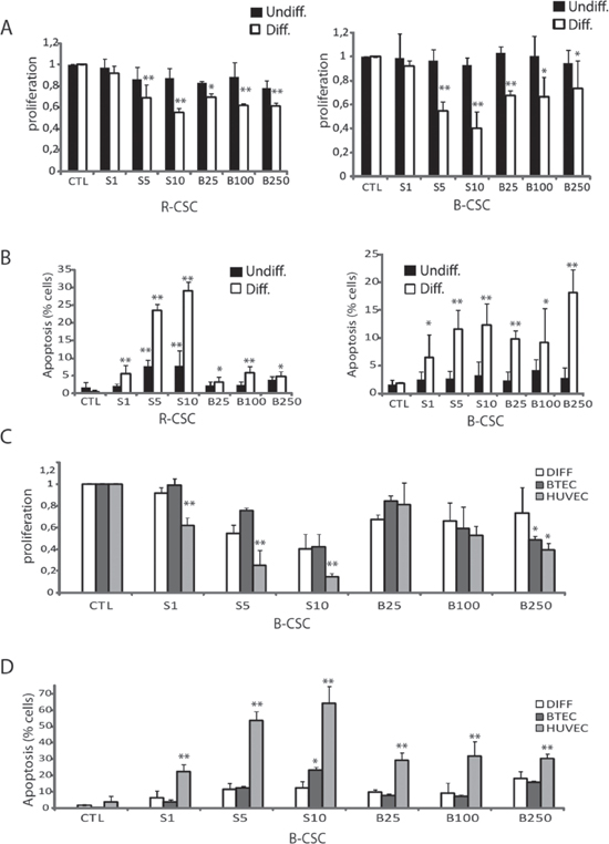 Cytotoxic effect of Bevacizumab and Sunitinib on CSC-derived endothelial cells.