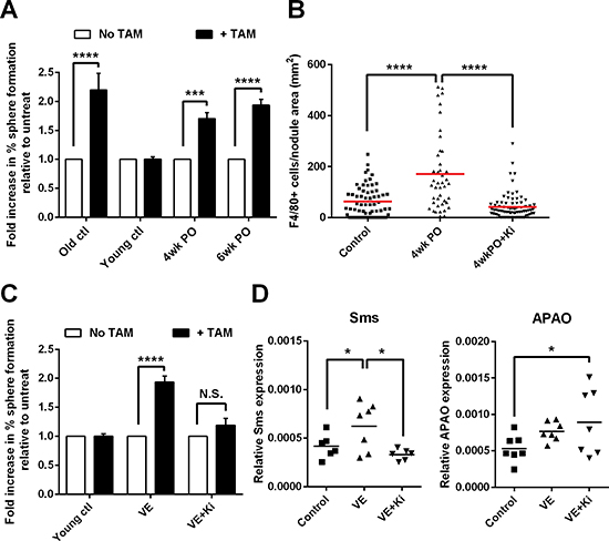 Surgery accelerates the emergence of macrophage-responsive tumor-initiating cells.