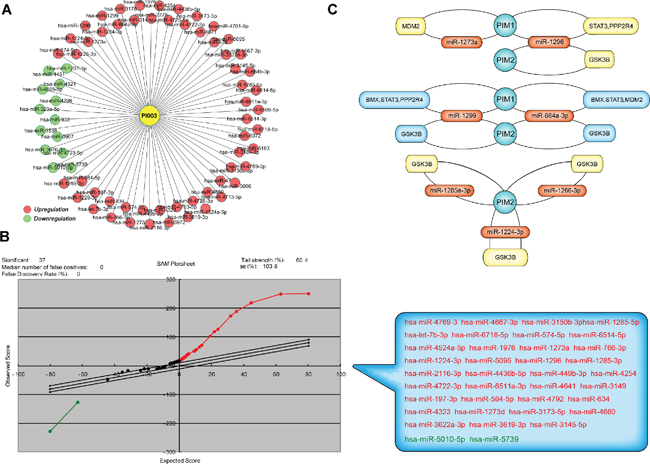 Microarray-based analysis of PI003-induced apoptotic mechanisms involved in microRNAs.