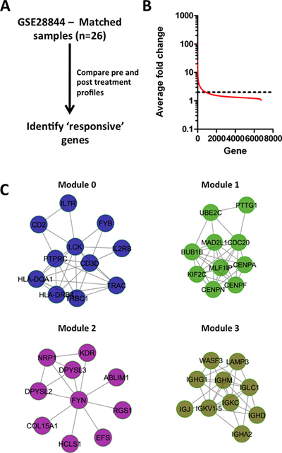 Identification of treatment response genes and modules.