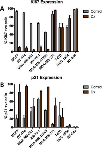 Effects of chemotherapy on Ki67 and p21 expression in breast tumor cell lines.