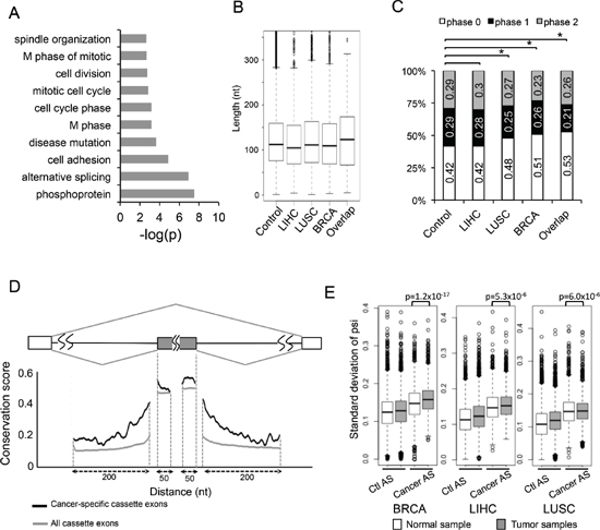 Molecular features of AS events changed in cancers.