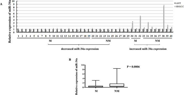 The expressions of miR-34a in HNSCC samples.