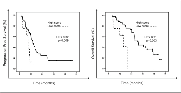 Progression free survival (PFS) and overall survival (OS) of patients according to the 7-gene score predictive of response to chemotherapy.