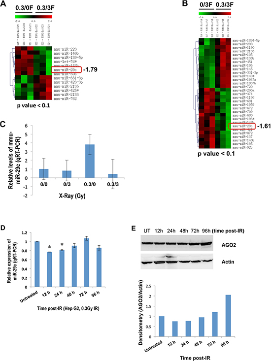A differential expression of miR-29c in liver tissues of female mice exposed to IR and human HepG2 cells.