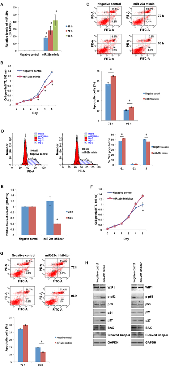 The suppressive role of miR-29c in hepatocellular carcinogenesis.