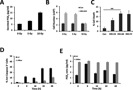 Release of PGE2 from &#x03B3;-irradiated cells.