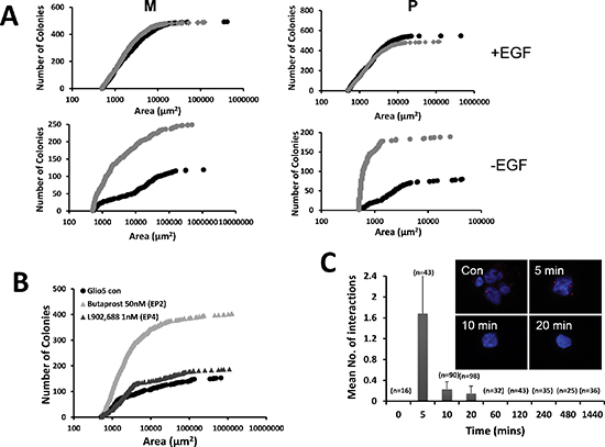 PGE2 and the EGF signaling pathway.