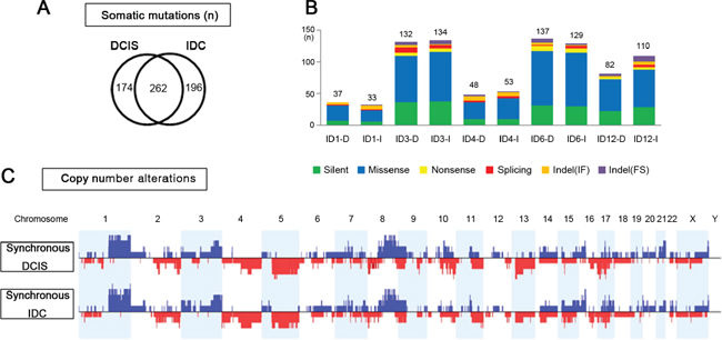 Genomic similarities of synchronous DCIS and IDC.